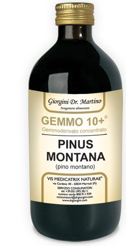 GEMMO 10+ GEMMODERIVATO CONCENTRATO LIQUIDO ANALCOLICO PINUS MONTANA PINO MONTANO 500 ML - Farmacia Murachelli Di Putelli dr. Giovanni