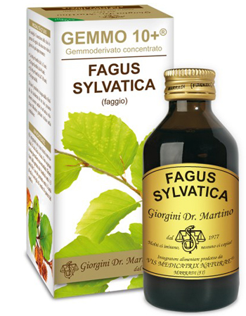 GEMMO 10+ FAGGIO 100 ML LIQUIDO ANALCOLICO - Farmacia Murachelli Di Putelli dr. Giovanni