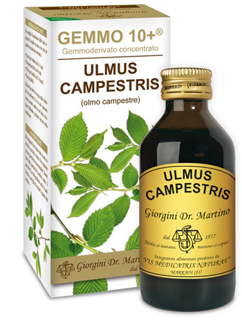 GEMMO 10+ OLMO CAMPESTRE 100 ML LIQUIDO ANALCOLICO - Farmacia Murachelli Di Putelli dr. Giovanni