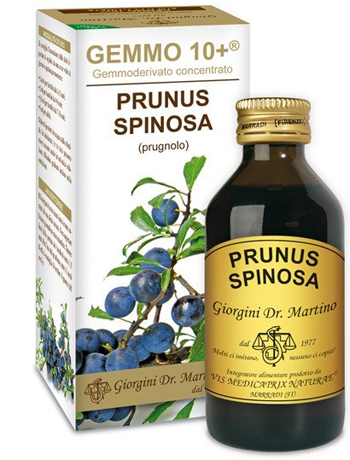 GEMMO 10+ PRUGNOLO 100 ML LIQUIDO ANALCOLICO - Farmacia Murachelli Di Putelli dr. Giovanni
