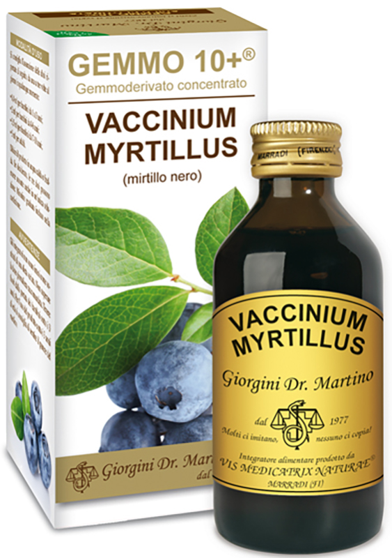 GEMMO 10+ GEMMODERIVATO CONCENTRATO VACCINIUM MYRTILLUS MIRTILLO NERO SENZA ALCOOL 100 ML - Farmacia Murachelli Di Putelli dr. Giovanni