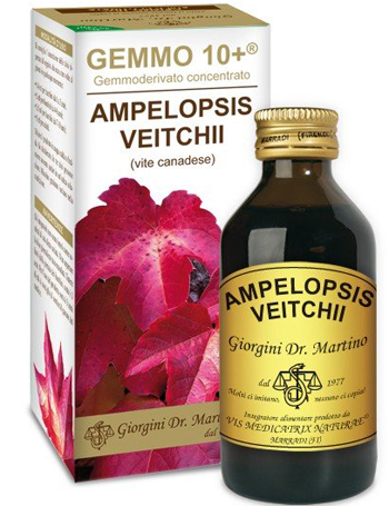 VITE CANADESE 100 ML LIQUIDO ANALCOLICO GEMMO +10 - Farmacia Murachelli Di Putelli dr. Giovanni
