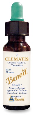 FIORI DI BACH BENOIT CLEMATIS 10 ML - Farmacia Murachelli Di Putelli dr. Giovanni