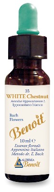 FIORI DI BACH BENOIT WHITE CHESTNUT 10 ML - Farmacia Murachelli Di Putelli dr. Giovanni