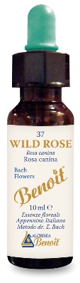 FIORI DI BACH BENOIT WILD ROSE 10 ML - Farmacia Murachelli Di Putelli dr. Giovanni