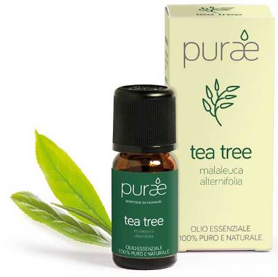 PURAE OLIO ESSENZIALE ALBERO TEA FOGLIE 10 ML - Farmacia Murachelli Di Putelli dr. Giovanni