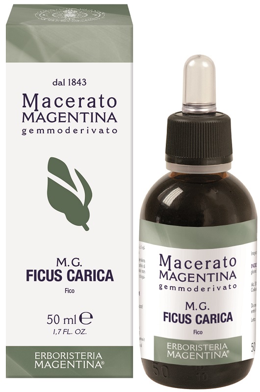 FICUS CARICA MACERATO MAGENTINA 50 ML - Farmacia Murachelli Di Putelli dr. Giovanni