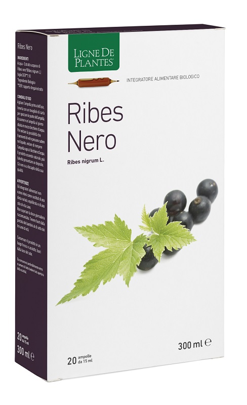 RIBES NERO BIOLOGICO 20 AMPOLLE BEVIBILI DA 15 ML - Farmacia Murachelli Di Putelli dr. Giovanni
