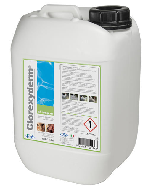 CLOREXYDERM SHAMPOO 5 LITRI - Farmacia Murachelli Di Putelli dr. Giovanni