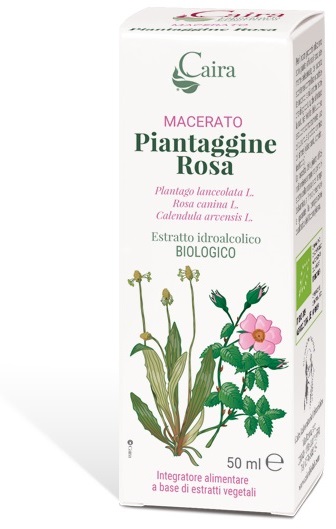 CAIRA PIANTAGGINE ROSA MACERATO IDROALCOLICO GOCCE 50 ML - Farmacia Murachelli Di Putelli dr. Giovanni