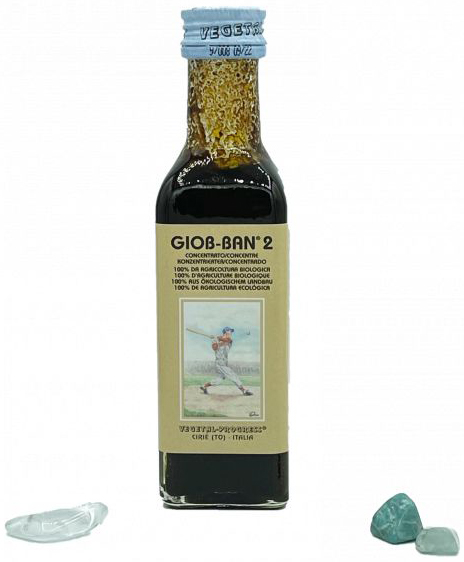 GIOB BAN 2 ART ESTRATTO CONCENTRATO BIOLOGICO 100 ML - Farmacia Murachelli Di Putelli dr. Giovanni