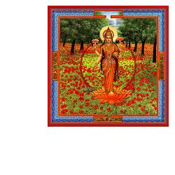 NEESHA-MA GOCCE 30 ML - Farmacia Murachelli Di Putelli dr. Giovanni