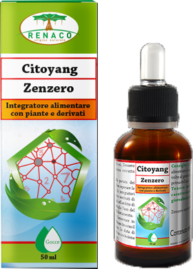 CITOYANG ZENZERO GOCCE FLACONCINO 50 ML - Farmacia Murachelli Di Putelli dr. Giovanni