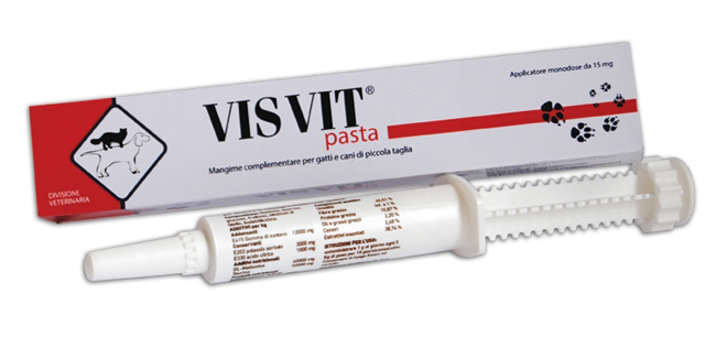 VISVIT PASTA OS SIRINGA 15 G - Farmacia Murachelli Di Putelli dr. Giovanni