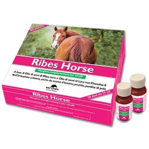 RIBES HORSE 30 FLACONI DA 25 ML - Farmacia Murachelli Di Putelli dr. Giovanni