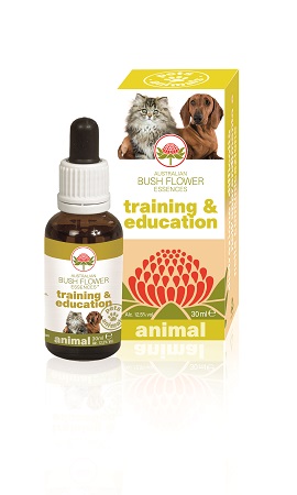 TRAINING & EDUCATION 30 ML - Farmacia Murachelli Di Putelli dr. Giovanni