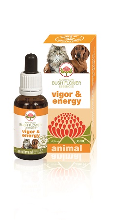 VIGOR & ENERGY 30 ML - Farmacia Murachelli Di Putelli dr. Giovanni