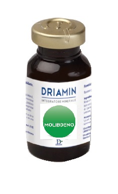 DRIAMIN MOLIBDENO 10 FLACONCINI 15 ML - Farmacia Murachelli Di Putelli dr. Giovanni