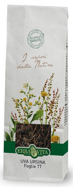 UVA URSINA TAGLIO TISANA FOGLIE 100 G - Farmacia Murachelli Di Putelli dr. Giovanni