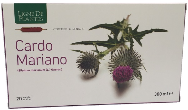 CARDO MARIANO 20 AMPOLLE BEVIBILI DA 15 ML - Farmacia Murachelli Di Putelli dr. Giovanni