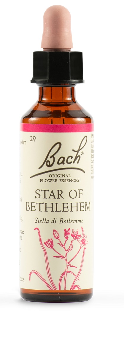 STAR OF BETHL ORIG 20 ML - Farmacia Murachelli Di Putelli dr. Giovanni