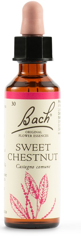 SWEET CHEST BACH ORIG 20 ML - Farmacia Murachelli Di Putelli dr. Giovanni