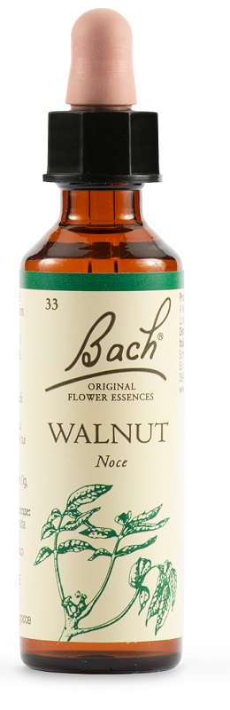 WALNUT BACH ORIG 20 ML - Farmacia Murachelli Di Putelli dr. Giovanni