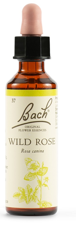 WILD ROSE BACH ORIG 20 ML - Farmacia Murachelli Di Putelli dr. Giovanni
