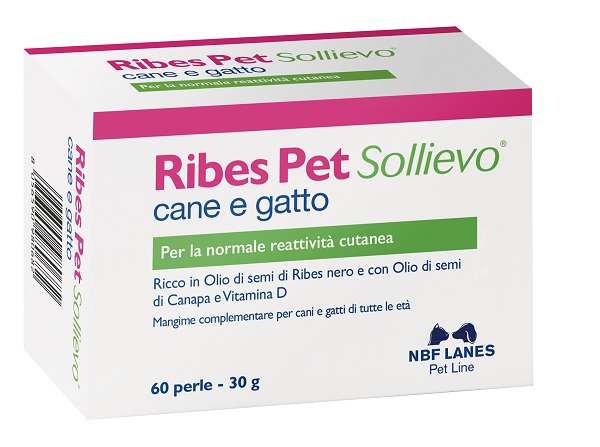 RIBES PET SOLLIEVO BLISTER 60 PERLE - Farmacia Murachelli Di Putelli dr. Giovanni