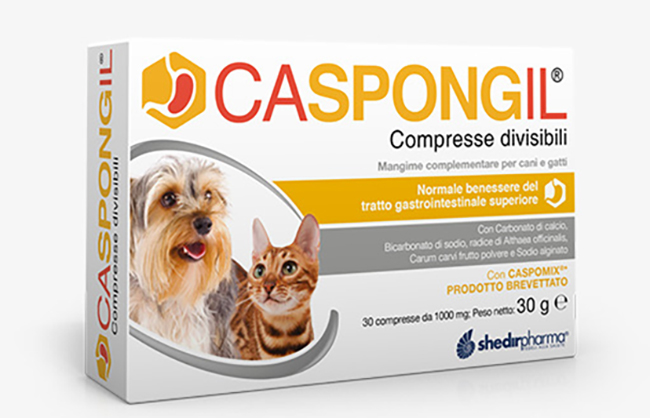 CASPONGIL 30 COMPRESSE DIVISIBILI - Farmacia Murachelli Di Putelli dr. Giovanni