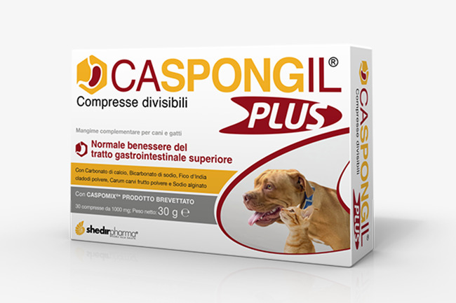 CASPONGIL PLUS 30 COMPRESSE - Farmacia Murachelli Di Putelli dr. Giovanni
