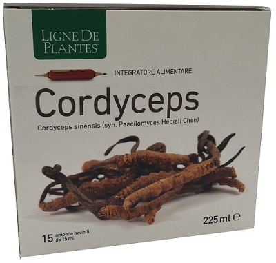CORDYCEPS 15 AMPOLLE BEVIBILI DA 15 ML - Farmacia Murachelli Di Putelli dr. Giovanni