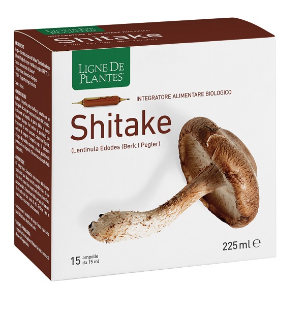 LIGNE DE PLANTES SHITAKE BIO 15 AMPOLLE DA 15 ML - Farmacia Murachelli Di Putelli dr. Giovanni