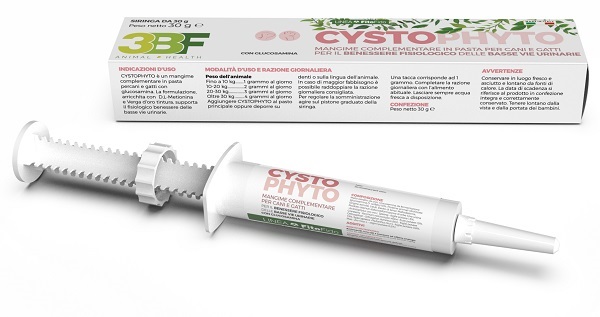 CYSTOPHYTO PASTA SIRINGA 30 G - Farmacia Murachelli Di Putelli dr. Giovanni