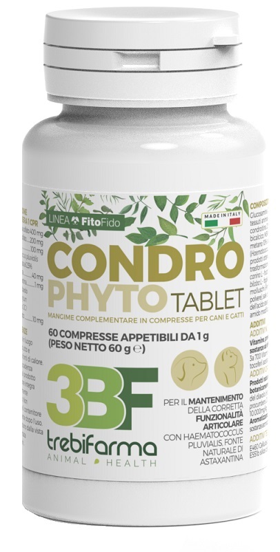 CONDROPHYTO 60 COMPRESSE DA 1 G - Farmacia Murachelli Di Putelli dr. Giovanni