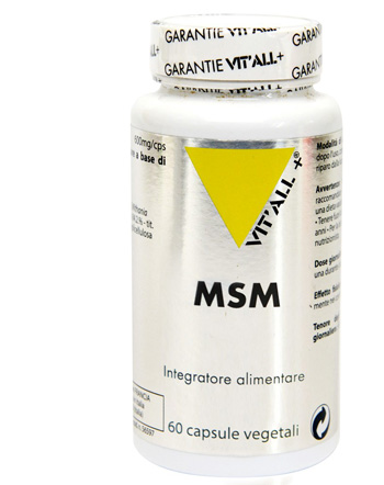 MSM 60 CAPSULE - Farmacia Murachelli Di Putelli dr. Giovanni