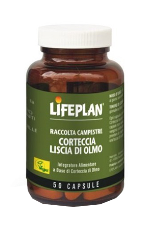CORTECCIA LISCIA DI OLMO 50 CAPSULE - Farmacia Murachelli Di Putelli dr. Giovanni