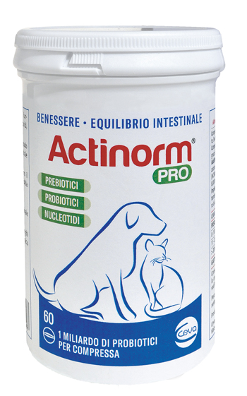 ACTINORM PRO FLACONE 60 COMPRESSE - Farmacia Murachelli Di Putelli dr. Giovanni