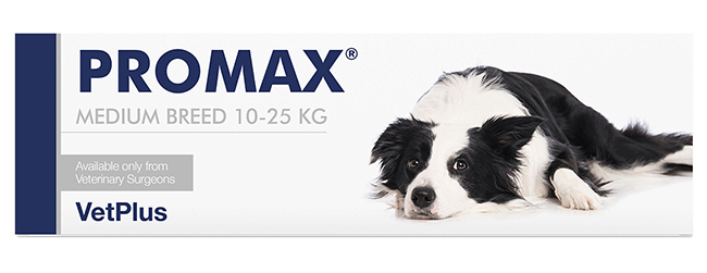 PROMAX MEDIUM BREED 18 ML - Farmacia Murachelli Di Putelli dr. Giovanni