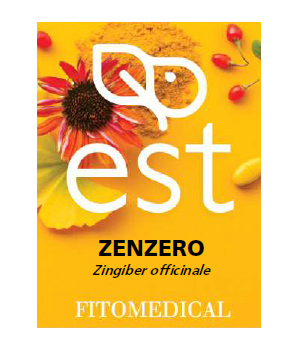 ZENZERO ESTRATTO SECCO 60 TAVOLETTE - Farmacia Murachelli Di Putelli dr. Giovanni