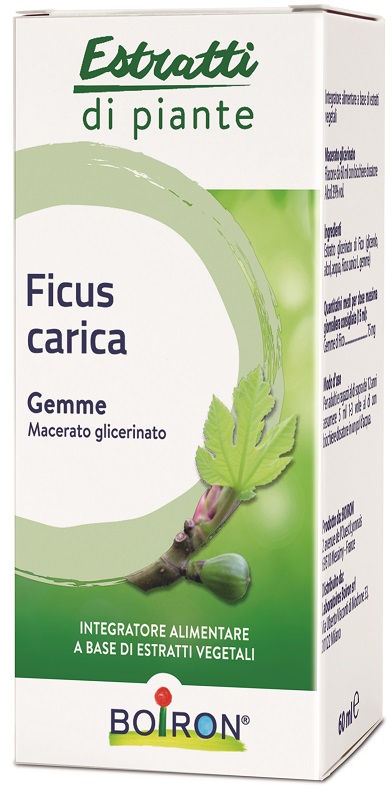 FICUS CARICA BOIRON MACERATO GLICERICO 60 ML - Farmacia Murachelli Di Putelli dr. Giovanni