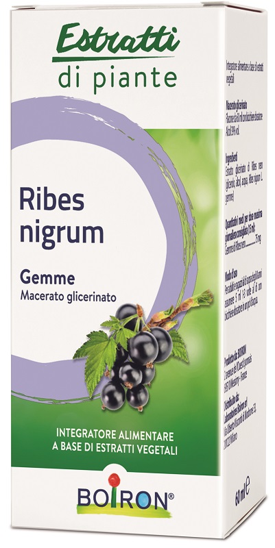 RIBES NIGRUM BOIRON MACERATO GLICERICO 60 ML - Farmacia Murachelli Di Putelli dr. Giovanni