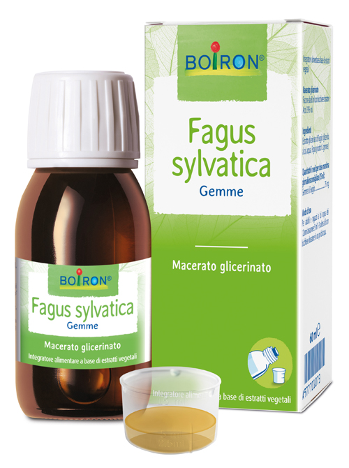 FAGUS SYLVATICA BOIRON MACERATO GLICERICO 60 ML - Farmacia Murachelli Di Putelli dr. Giovanni