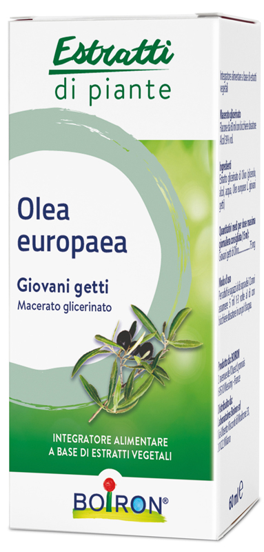 OLEA EUROPAEA BOIRON MACERATO GLICERICO 60 ML - Farmacia Murachelli Di Putelli dr. Giovanni