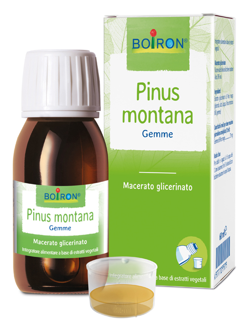 PINUS MONTANA BOIRON MACERATO GLICERICO 60 ML - Farmacia Murachelli Di Putelli dr. Giovanni