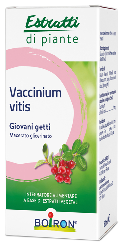 VACCINIUM VITIS MACERATO GLICERICO 60 ML - Farmacia Murachelli Di Putelli dr. Giovanni