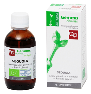 SEQUOIA MACERATO GLICERICO 50 ML BIO - Farmacia Murachelli Di Putelli dr. Giovanni