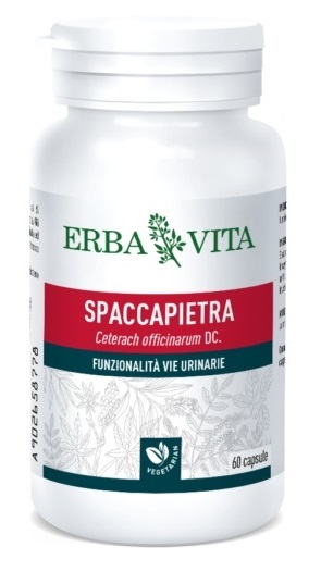 SPACCAPIETRA 60 CAPSULE - Farmacia Murachelli Di Putelli dr. Giovanni