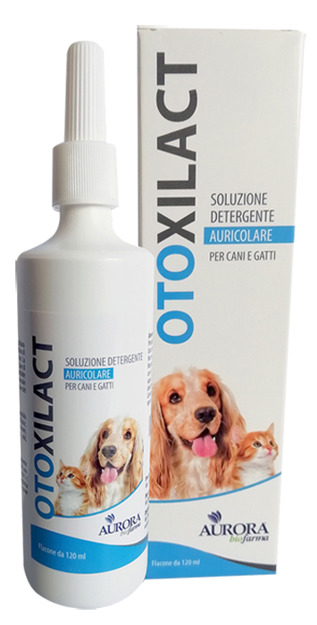 OTOXILACT DETERGENTE AURICOLARE - Farmacia Murachelli Di Putelli dr. Giovanni