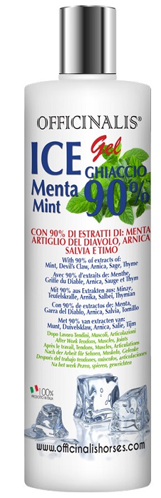ICE GEL 90% 250 ML - Farmacia Murachelli Di Putelli dr. Giovanni
